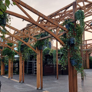 Hangplant groen